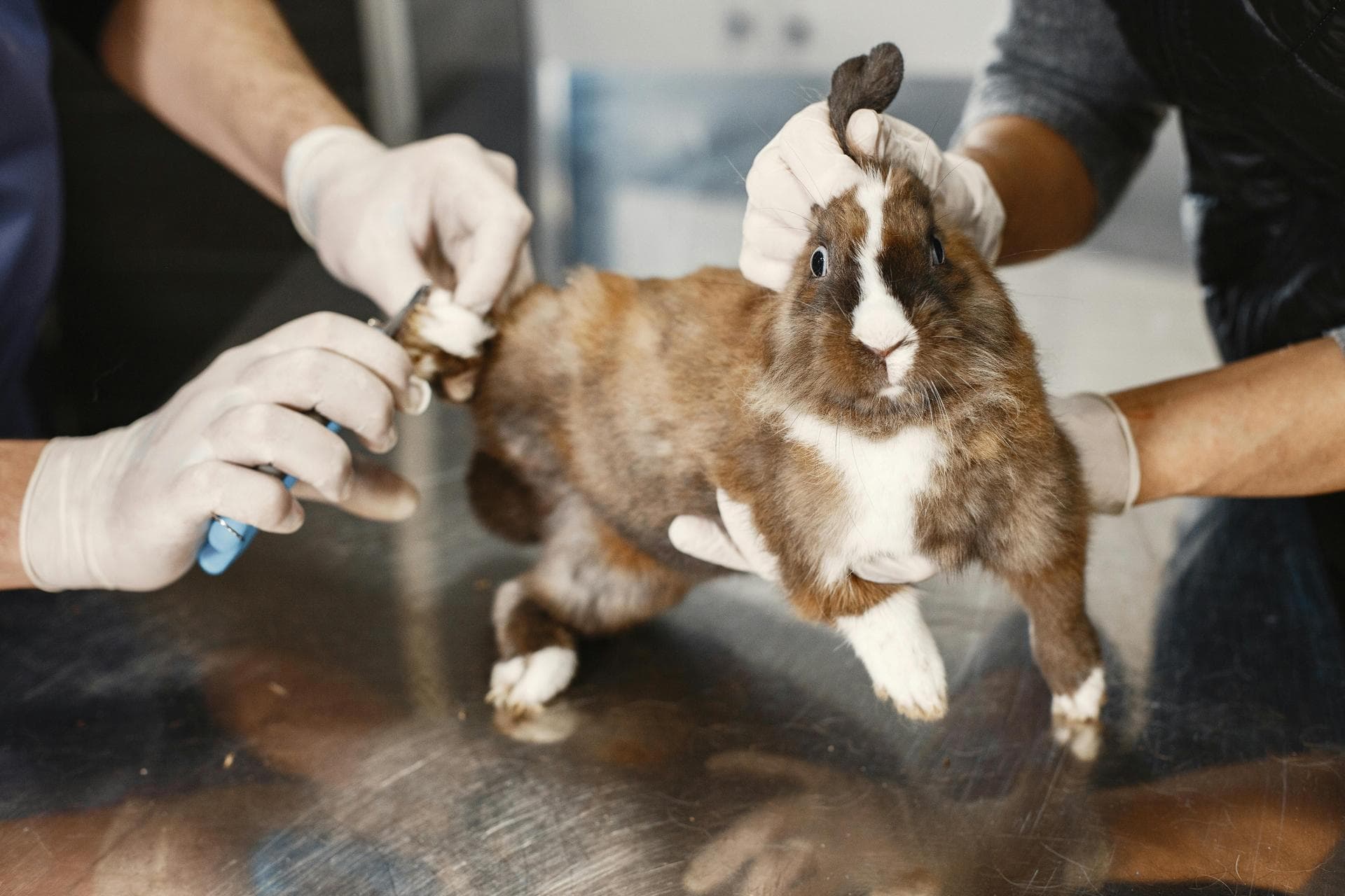 Annual Vaccination Booster Prices in Plymouth